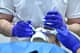 Slider image (8) Dental Medicus